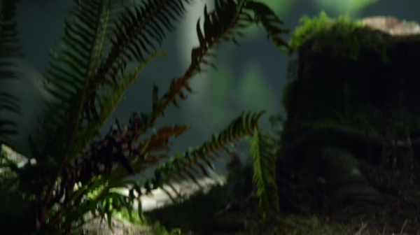 The 100 Reapercussions Season Two Episode Three-1205

