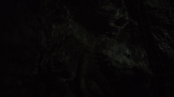 The 100 Reapercussions Season Two Episode Three-1110
