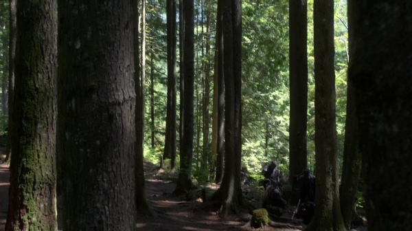 The 100 Reapercussions Season Two Episode Three-1059
