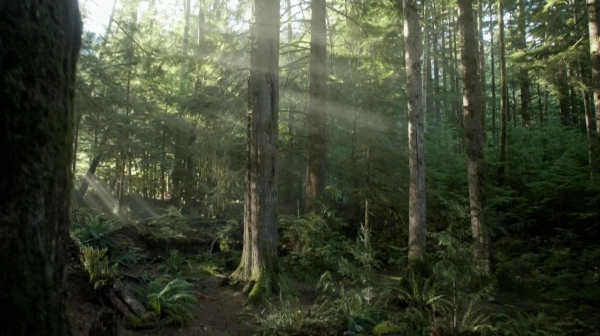 The 100 Reapercussions Season Two Episode Three-819
