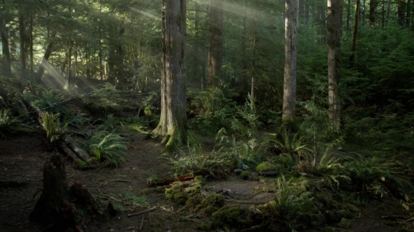 The 100 Reapercussions Season Two Episode Three-818
