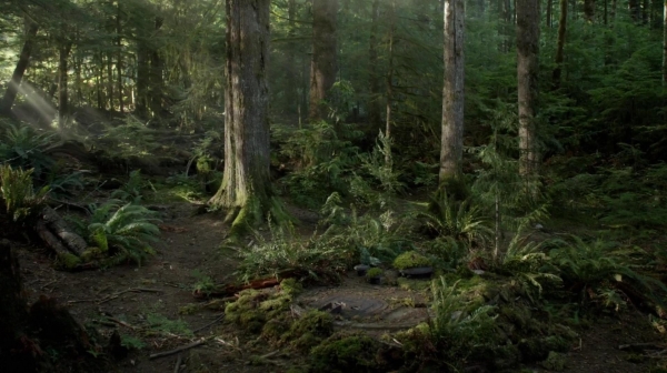 The 100 Reapercussions Season Two Episode Three-817
