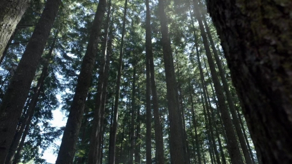 The 100 Reapercussions Season Two Episode Three-621

