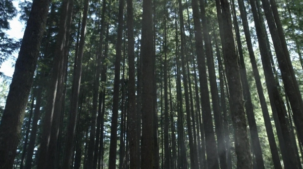 The 100 Reapercussions Season Two Episode Three-620
