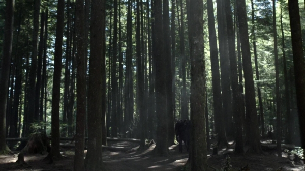The 100 Reapercussions Season Two Episode Three-619
