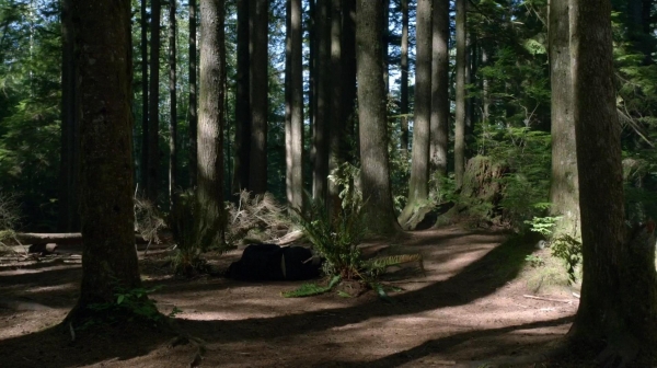 The 100 Reapercussions Season Two Episode Three-611
