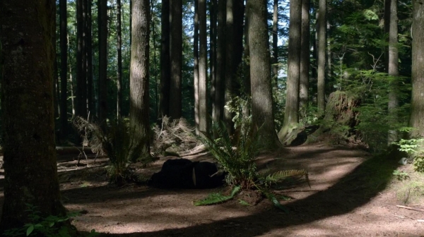 The 100 Reapercussions Season Two Episode Three-609
