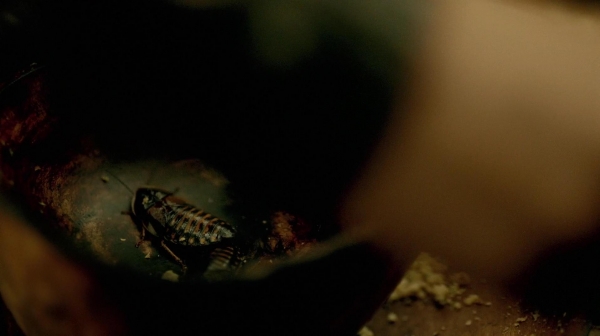 The 100 Many Happy Returns Season Two Episode Four-480
