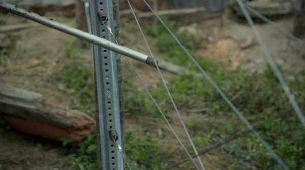 The 100 Human Trials Season Two Episode Five-1406
