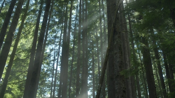 The 100 Human Trials Season Two Episode Five-436
