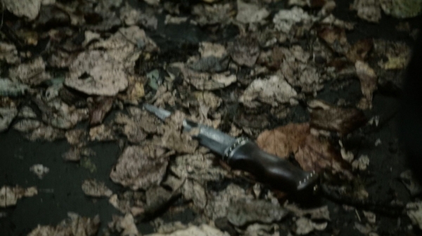 The Fog of War the 100 Season Two Episode Six-1565
