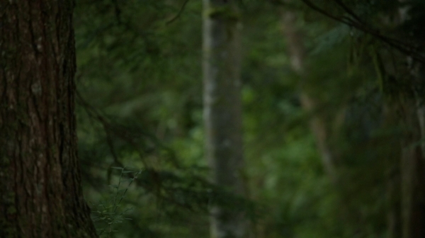 The Fog of War the 100 Season Two Episode Six-1325
