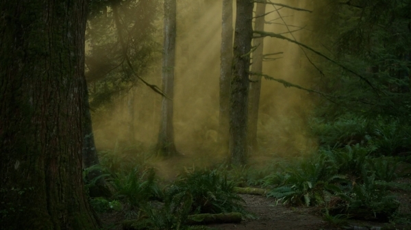 The Fog of War the 100 Season Two Episode Six-1312

