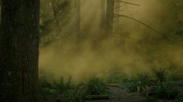The Fog of War the 100 Season Two Episode Six-1308
