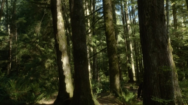 The Fog of War the 100 Season Two Episode Six-1296

