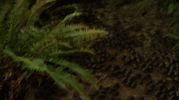 The Fog of War the 100 Season Two Episode Six-1251

