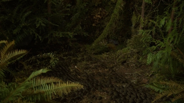 The Fog of War the 100 Season Two Episode Six-1250
