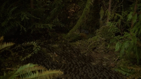 The Fog of War the 100 Season Two Episode Six-1249
