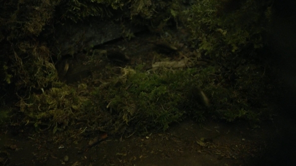The Fog of War the 100 Season Two Episode Six-1244
