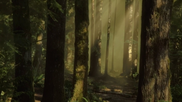 The Fog of War the 100 Season Two Episode Six-1240
