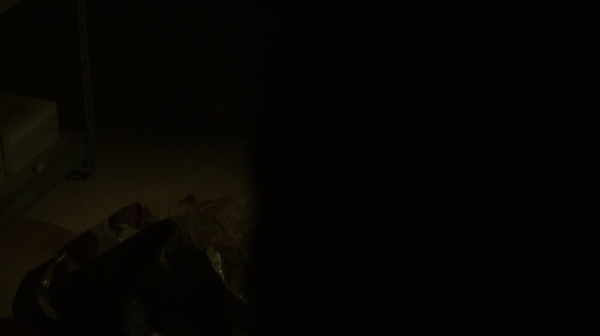 The Fog of War the 100 Season Two Episode Six-1069
