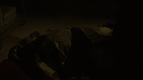The Fog of War the 100 Season Two Episode Six-1068
