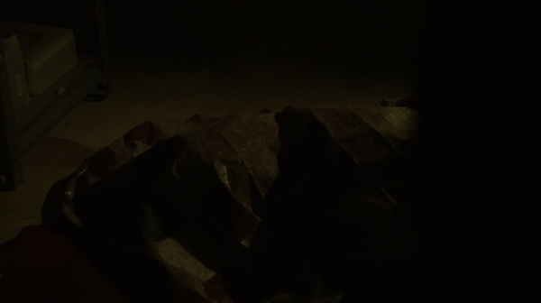 The Fog of War the 100 Season Two Episode Six-1067
