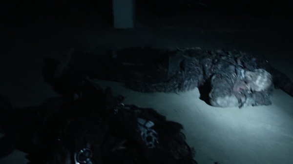 The Fog of War the 100 Season Two Episode Six-690
