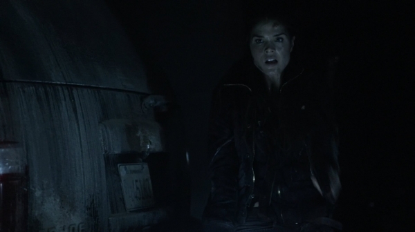The Fog of War the 100 Season Two Episode Six-337
