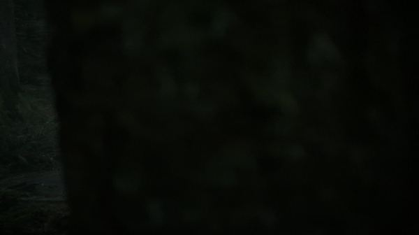 The Fog of War the 100 Season Two Episode Six-312
