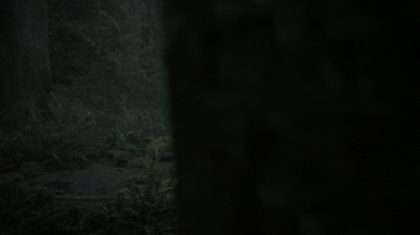 The Fog of War the 100 Season Two Episode Six-311
