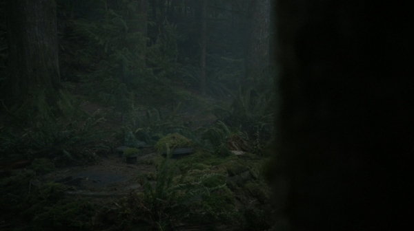 The Fog of War the 100 Season Two Episode Six-310
