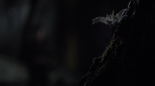 The 100 Long Into an Abyss Season Two Episode Seven-1698
