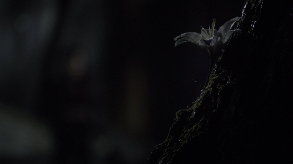 The 100 Long Into an Abyss Season Two Episode Seven-1697
