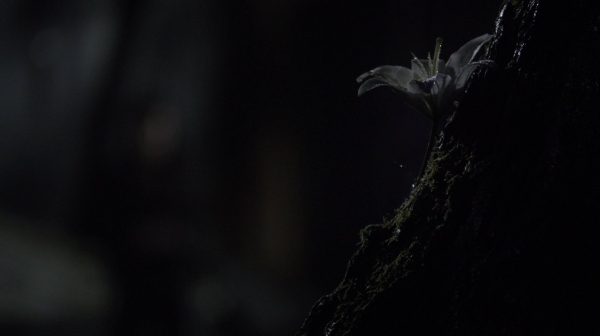 The 100 Long Into an Abyss Season Two Episode Seven-1696
