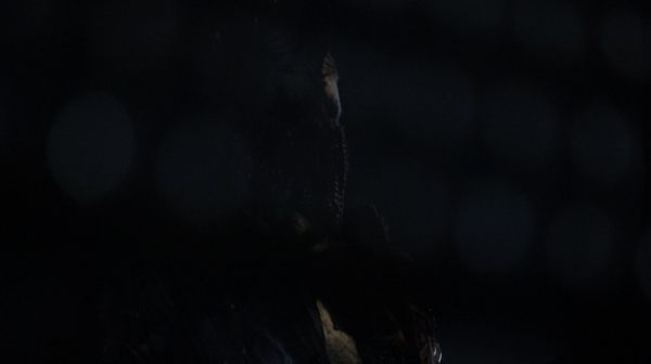 The Spacewalker Season Two Episode Eight-2014
