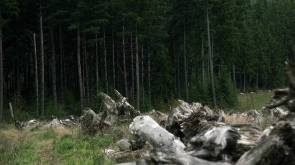 The Spacewalker Season Two Episode Eight-1471
