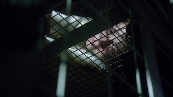 The 100 Season Two Episode Nine Remember Me-33

