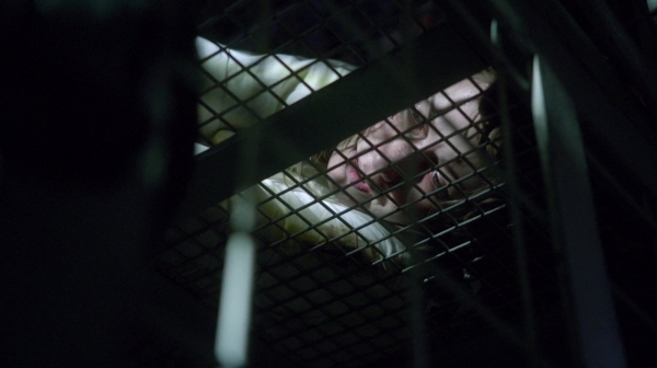 The 100 Season Two Episode Nine Remember Me-32
