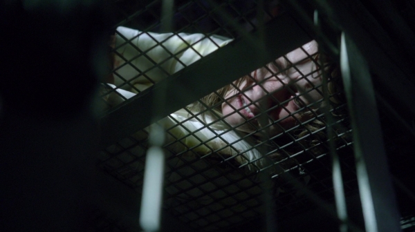 The 100 Season Two Episode Nine Remember Me-24
