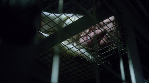 The 100 Season Two Episode Nine Remember Me-22
