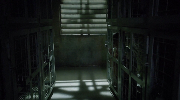 The 100 Season Two Episode Nine Remember Me-11
