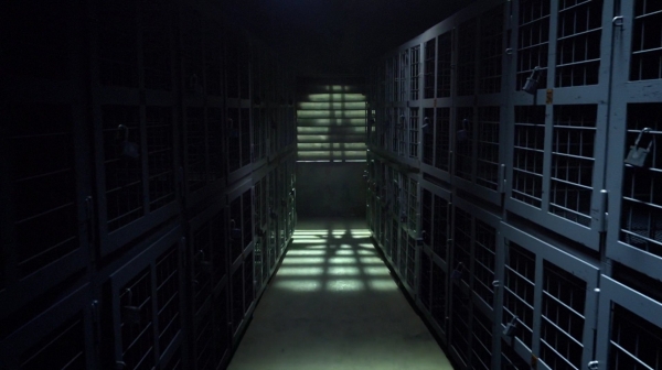 The 100 Season Two Episode Nine Remember Me-6
