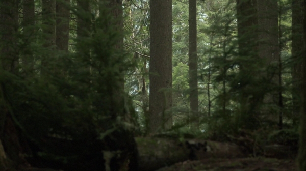The Rubicon Season Two Episode Twelve-803
