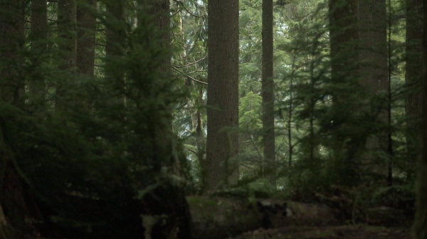 The Rubicon Season Two Episode Twelve-802
