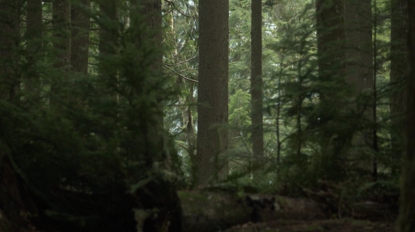 The Rubicon Season Two Episode Twelve-801
