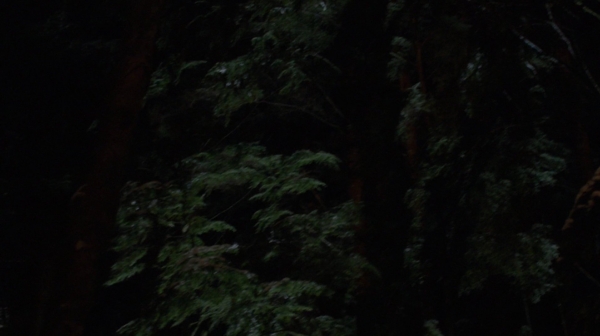 The 100 Resurrection Season Two Episode Thirteen-2208
