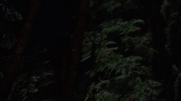The 100 Resurrection Season Two Episode Thirteen-2207
