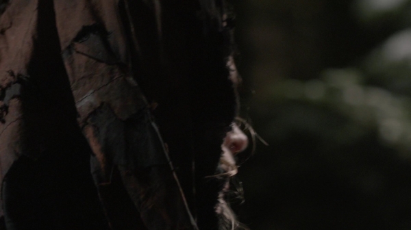 The 100 Resurrection Season Two Episode Thirteen-2186
