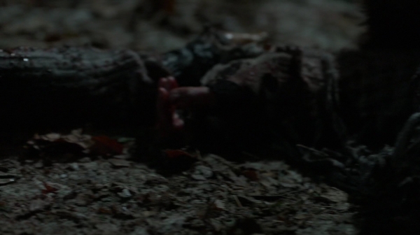 The 100 Resurrection Season Two Episode Thirteen-2168
